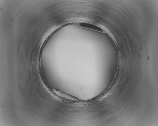 X0000068770901200605191645