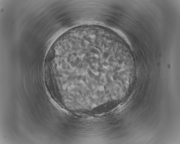 X0000068770903200605191645