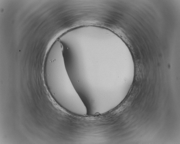 X0000068770904200605191645