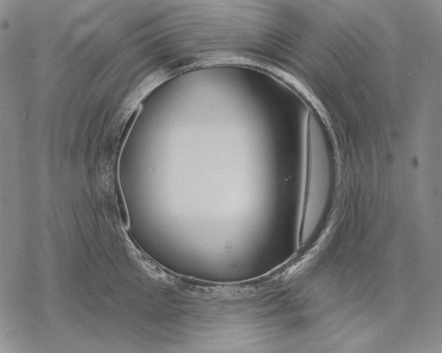 X0000068770905200605191645