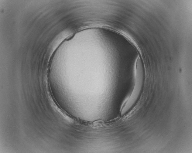 X0000068770906200605191645