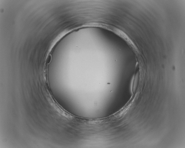 X0000068770908200605191645