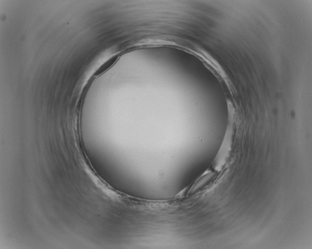 X0000068770909200605191645