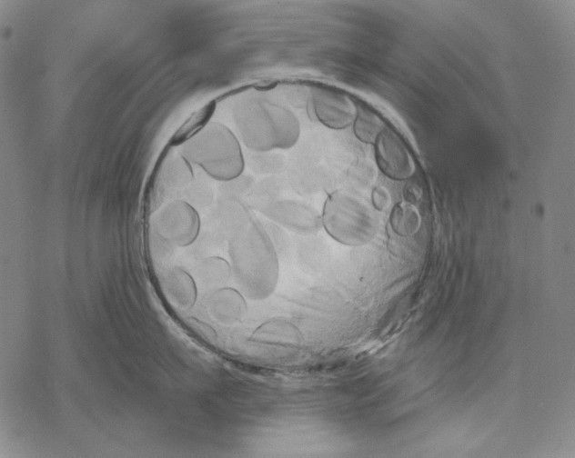 X0000068770911200605191645