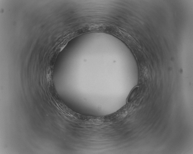 X0000068770914200605191644