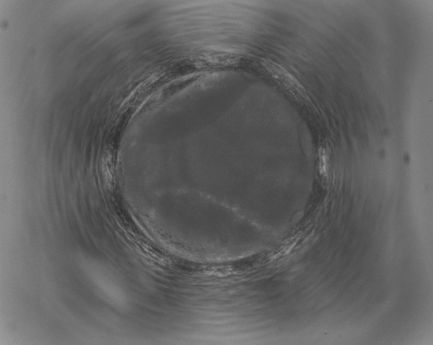 X0000068770915200605191644