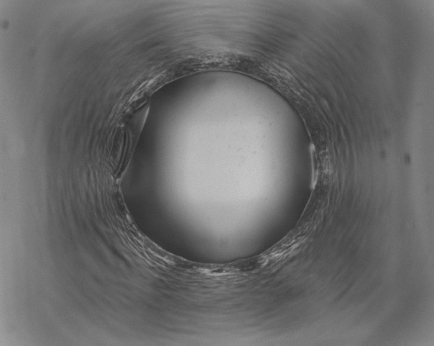 X0000068770916200605191644