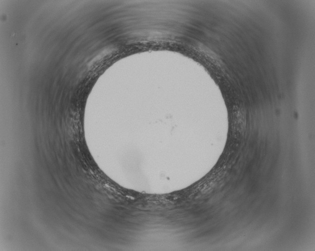 X0000068770918200605191644