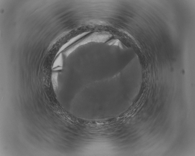 X0000068770919200605191644