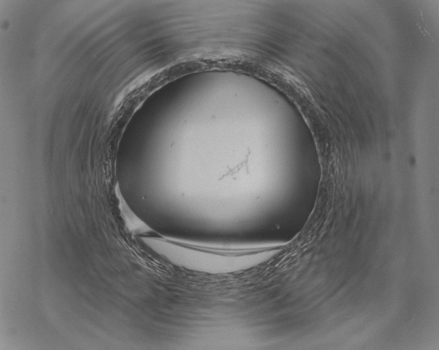 X0000068770920200605191644