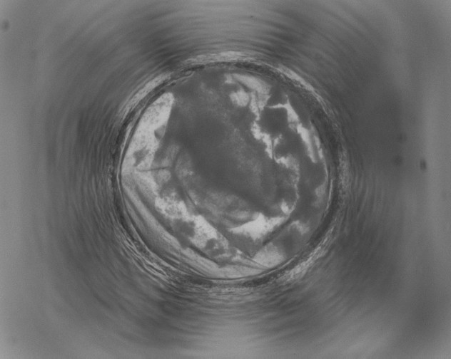 X0000068770921200605191644