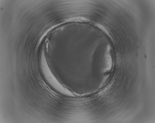 X0000068770923200605191644