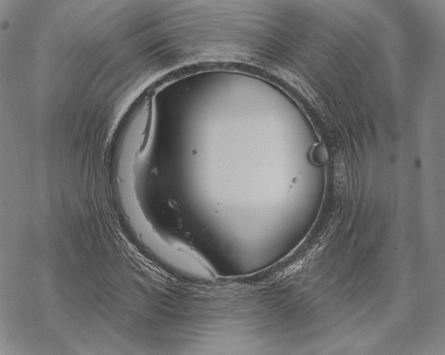 X0000068770926200605191644