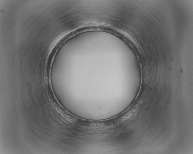 X0000068770927200605191644