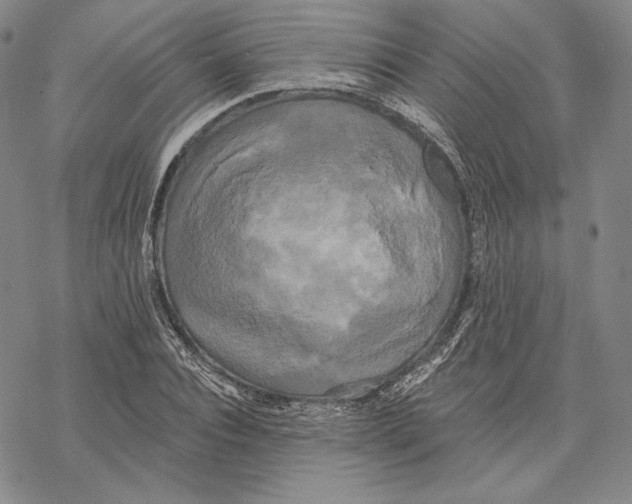 X0000068770928200605191644