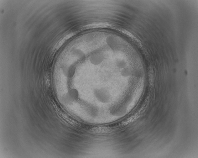 X0000068770929200605191644