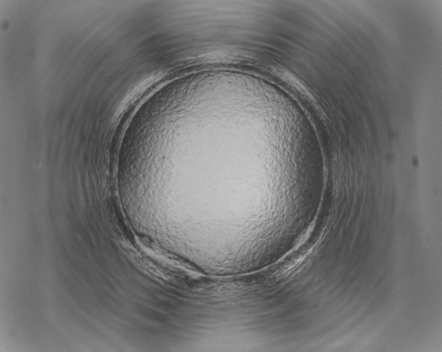 X0000068770930200605191644