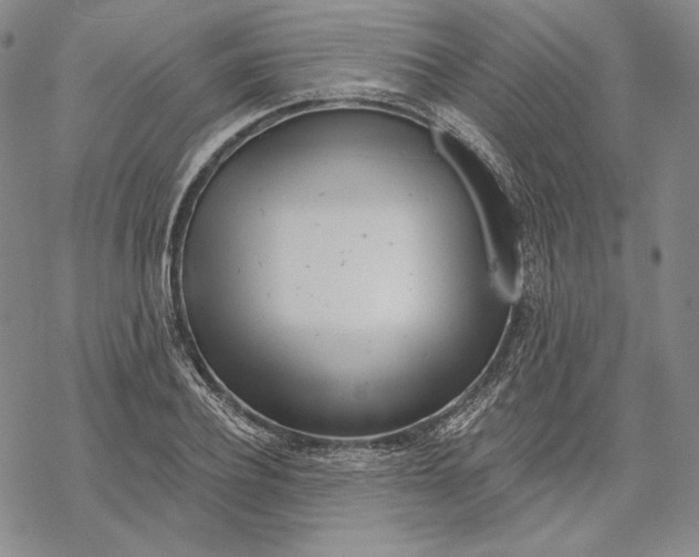 X0000068770932200605191644