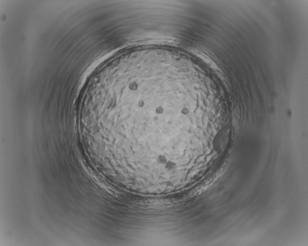 X0000068770933200605191644