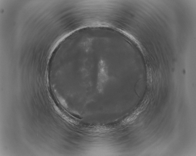 X0000068770935200605191644