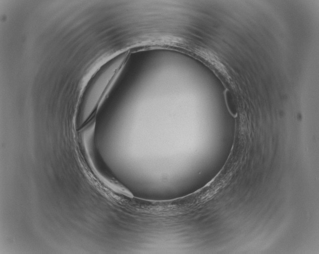 X0000068770936200605191644