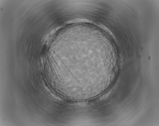 X0000068770937200605191644