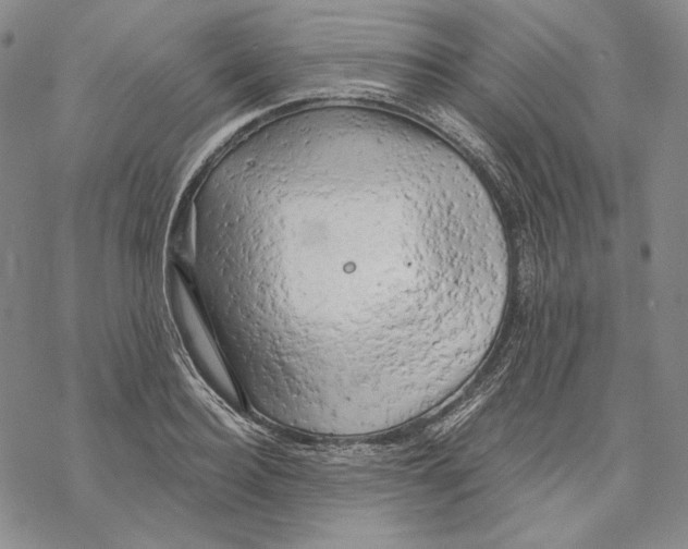 X0000068770940200605191645