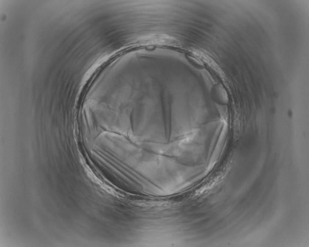 X0000068770941200605191645