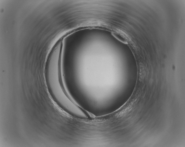 X0000068770942200605191645