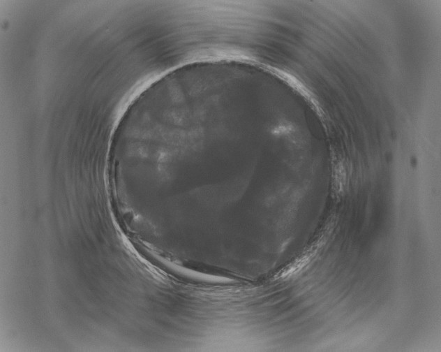 X0000068770943200605191645