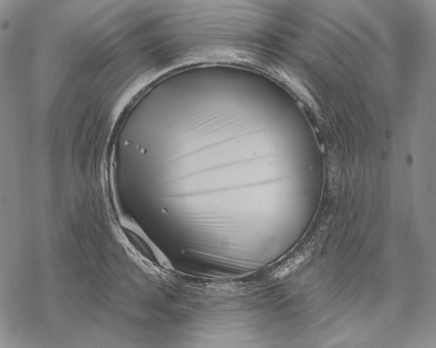 X0000068770944200605191645