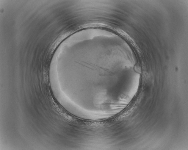 X0000068770945200605191645