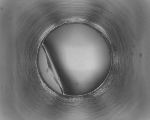 X0000068770946200605191645