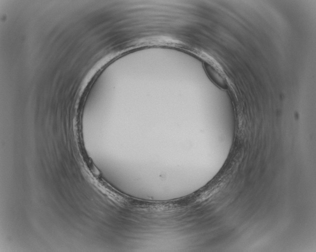 X0000068770947200605191645