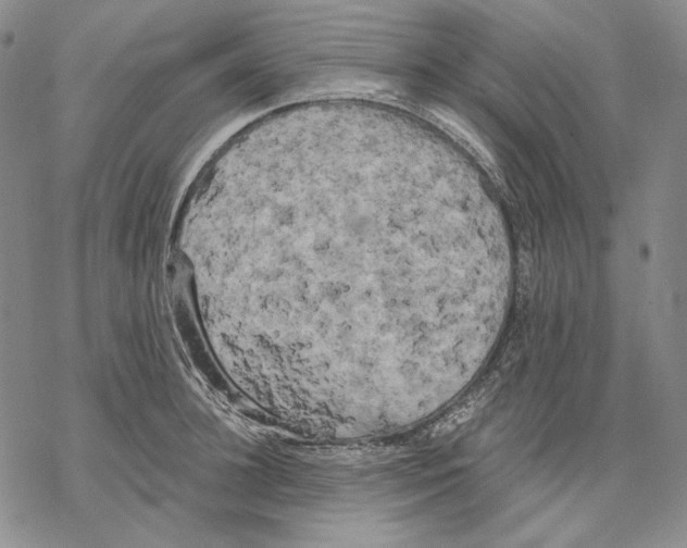 X0000068770948200605191645