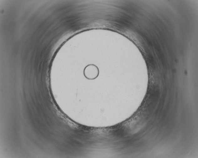 X0000068770950200605191645