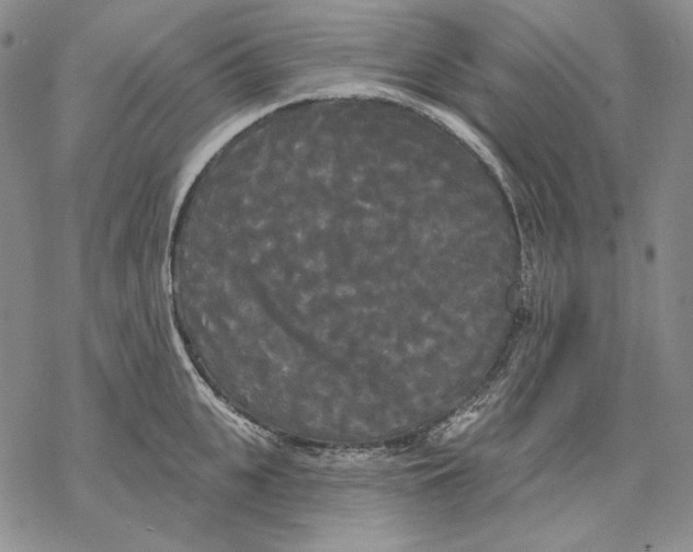 X0000068770951200605191645