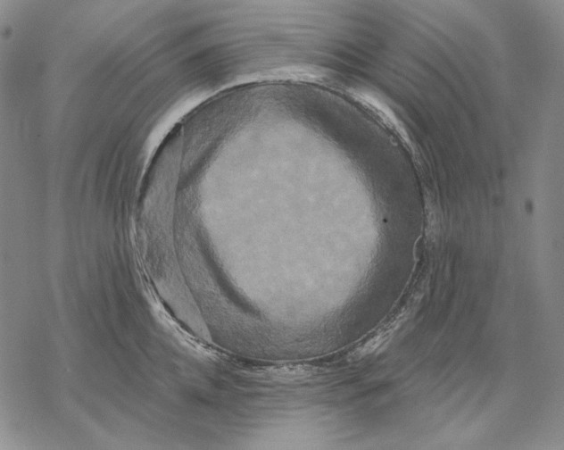 X0000068770952200605191645