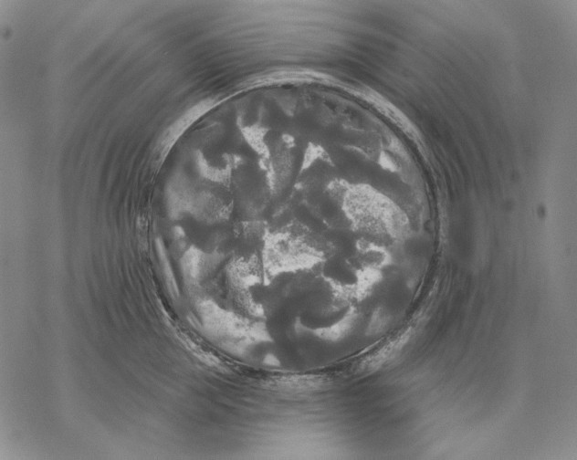 X0000068770953200605191645