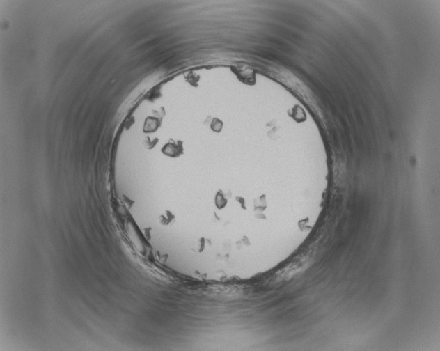 X0000068770954200605191645