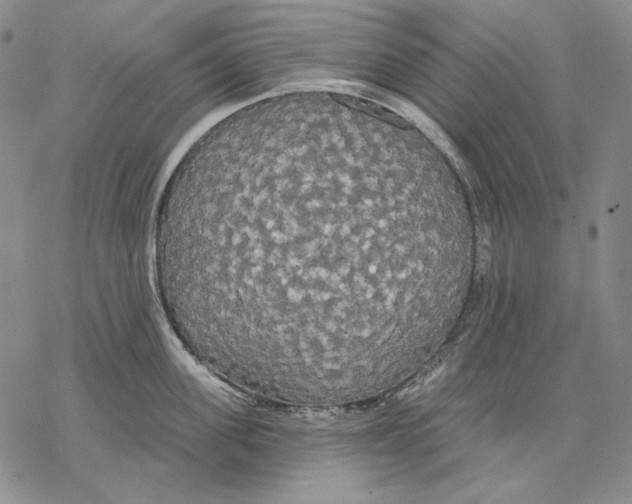 X0000068770955200605191645