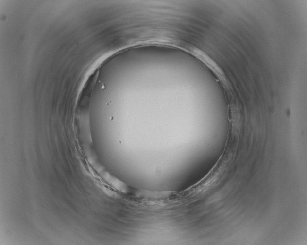 X0000068770956200605191645