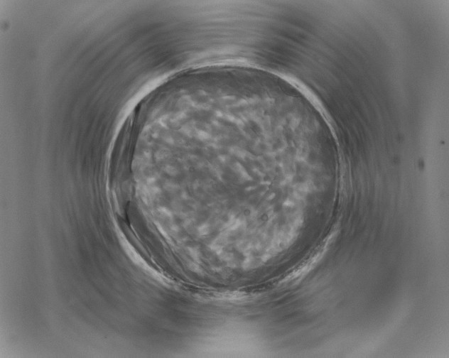 X0000068770957200605191645