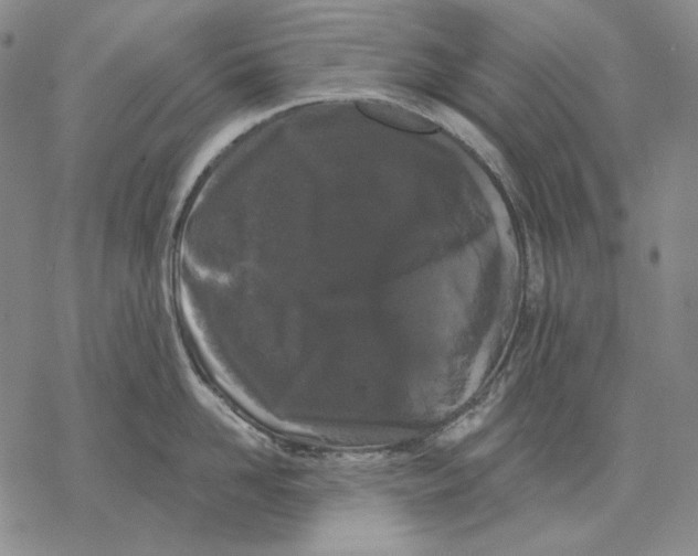 X0000068770958200605191645