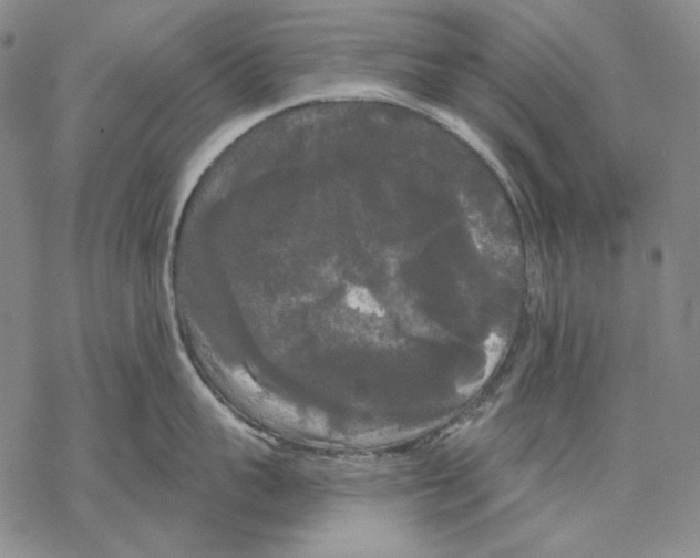 X0000068770959200605191645