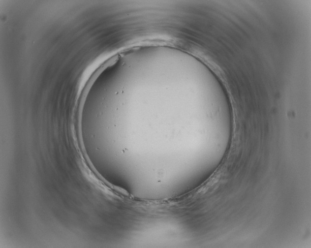 X0000068770960200605191645