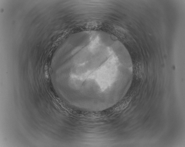 X0000068770962200605191644