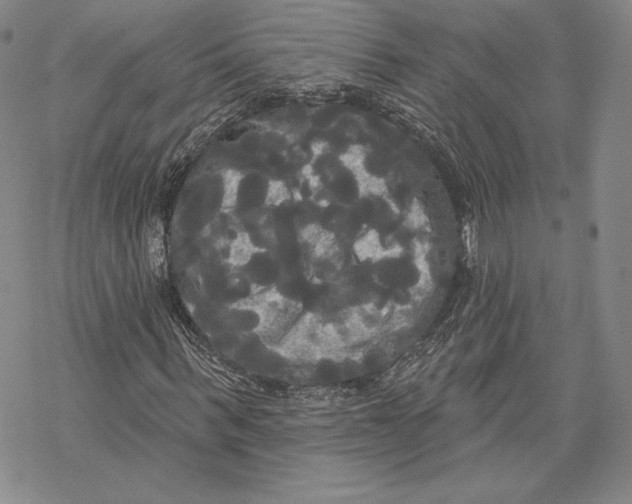 X0000068770963200605191644