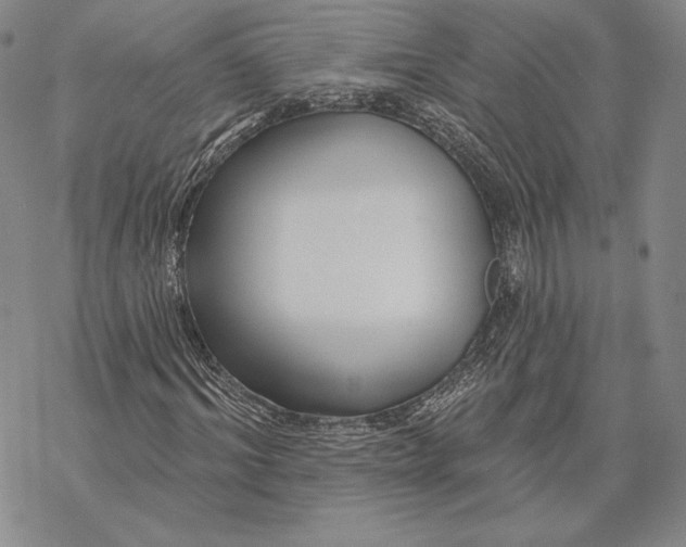 X0000068770964200605191644