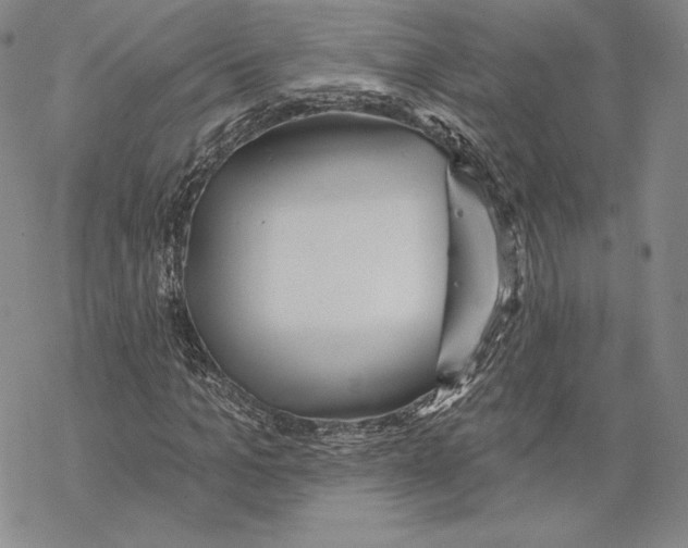 X0000068770965200605191644